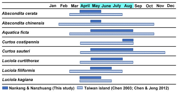 The estimated occurrence periods of each adult species based on the collection dates of the specimens in the two studied sites (April–August) and previous literature (Chen, 2003; Chen & Jeng, 2012).