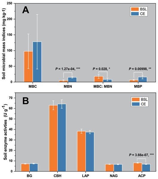 Soil microbial biomass indices (MBC, MBN, MBC/MBN ratio, and MBP) (A) and soil enzyme activities (BG, CBH, LAP, NAG, and ACP) (B) in the topsoil (to a depth of 20 cm) at the two sampling sites.