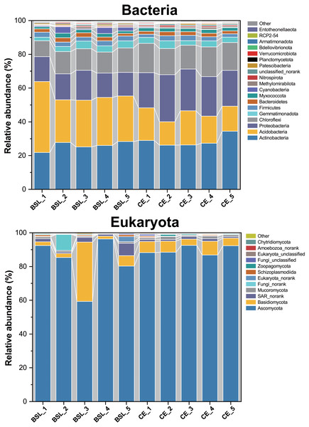 Relative abundances of the bacterial and eukaryota community members at the phylum level across all 10 soil samples.