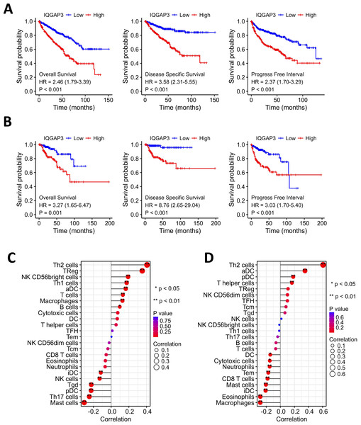 Correction between IQGAP3 expression with prognosis and immune cell infiltration.