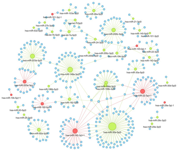 Interaction network of highly expressed 5′-isomiRs and their target genes in colorectal cancer.