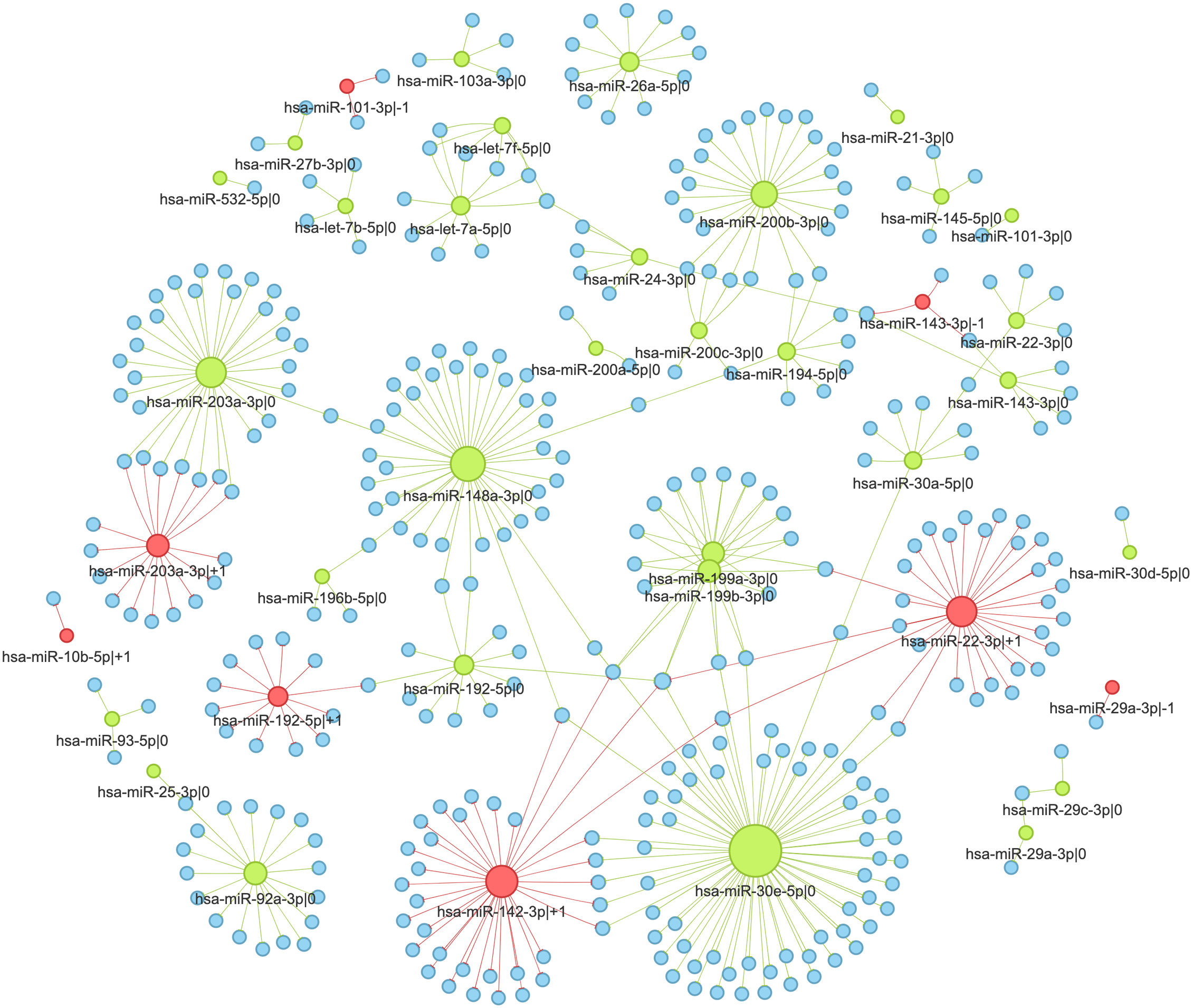 MicroRNA-411 and Its 5′-IsomiR Have Distinct Targets and Functions