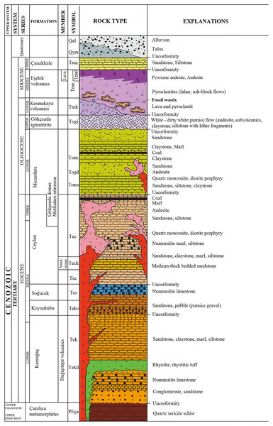 Stratigraphic column of the studied fossiliferous area (modified from Sarı et al., 2015).