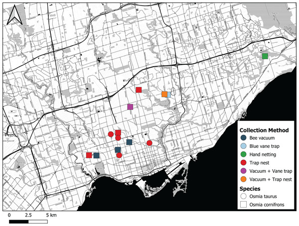 Map showing where Osmia cornifrons and Osmia taurus were collected in Toronto and the sampling method used.