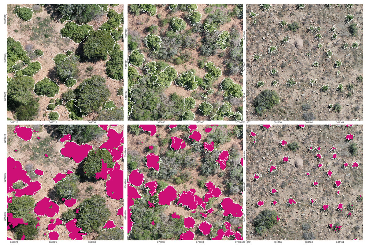 PDF) A protocol for canopy cover monitoring on forest restoration
