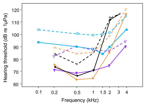 Comparison of AEP-hearing thresholds in fish species possessing accessory hearing structures (hearing specialists); under laboratory noise (solid lines and filled symbols) and continuous white noise (dashed lines and open symbols) at 110 dB: Trichopsis vittata (blue lines -■-, current study); Carassius auratus (orange lines -•-, Wysocki & Ladich, 2005a), Platydoras armatulus (purple lines -▾-, Wysocki & Ladich, 2005a); Etroplus maculatus (black lines -◊-, Ladich & Schulz-Mirbach, 2013).