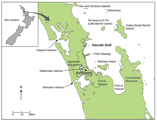 Map of the major cities and suburbs of Auckland with the black/dashed line indicating urban/rural boundary.