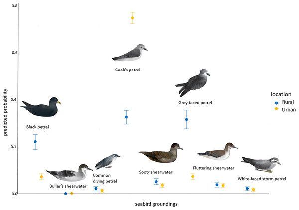 The predicted probability (+/−SE) of each seabird species landing in a grounded or rural area.