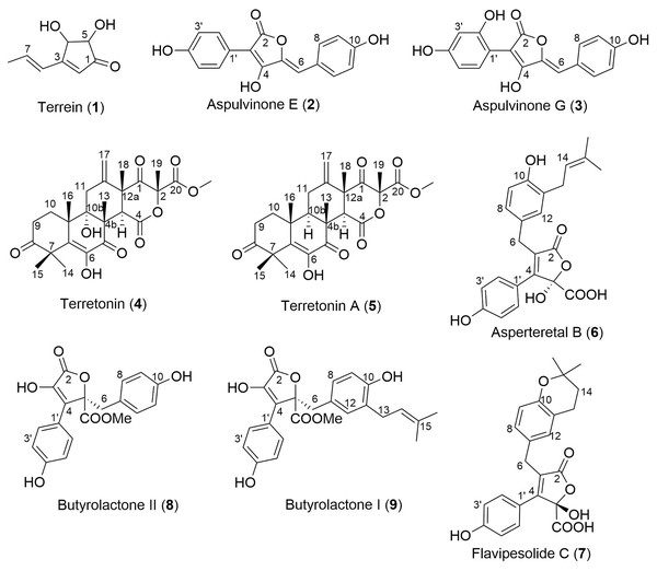 Structures of isolated natural products 1–9.