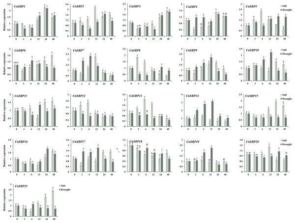 Expression levels of CnSBP genes in leaves under abiotic stresses by qRT-PCR.