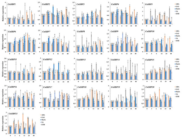 Expression levels of CnSBP genes in leaves under hormone treatments by qRT-PCR.