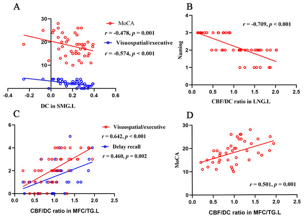 Correlation analyses of functional parameters and clinical variates.