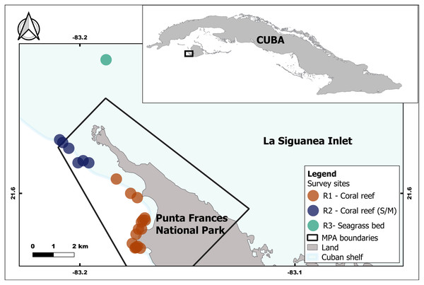 Geographic location of the study area inside and associated with the Punta Frances National Park (delimited by the polygon) and the sampling sites grouped into three regions: R1, R2 and R3.