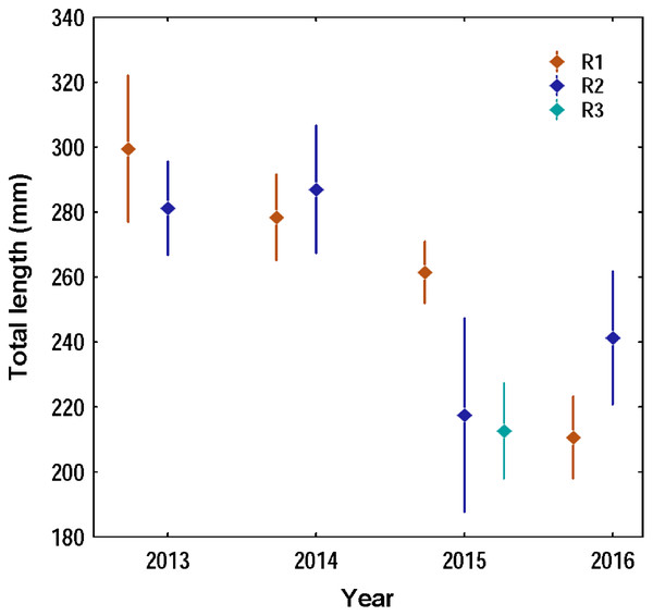 Variation of the total length of the lionfish in the three capture regions during the four years of study in the Punta Frances National Park.