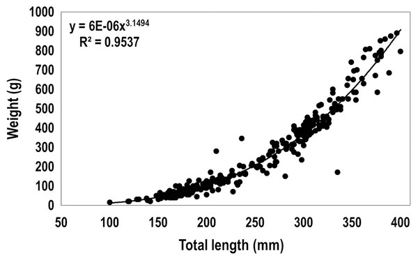 Length-weight relationship obtained from 310 lionfish captured in the Punta Frances National Park (June–August, 2015).