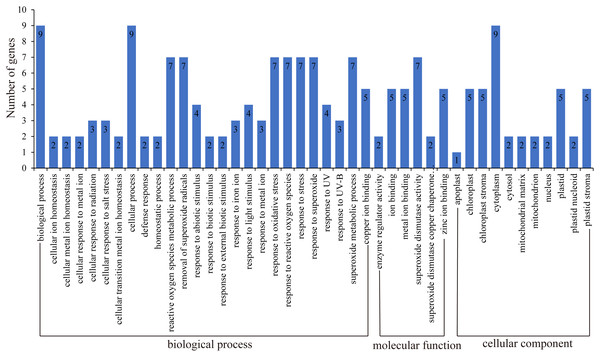 Gene ontology of SOD genes in rubber tree.