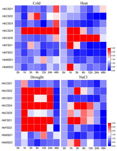 qRT-PCR analysis of the expression patterns of HbSOD genes in the leaves under different abiotic stress conditions.