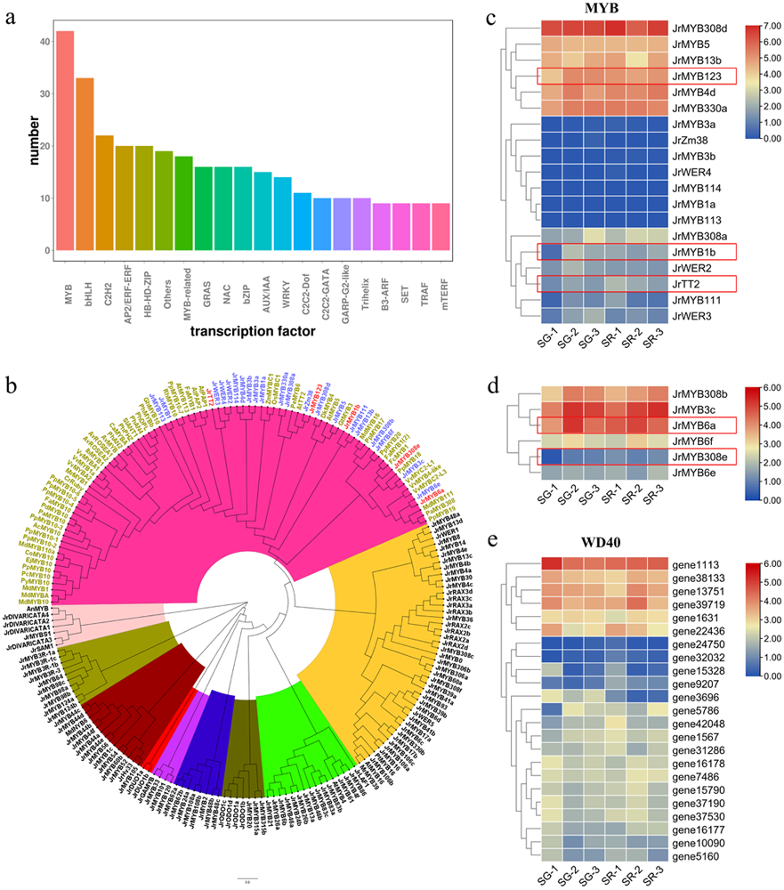 Integrated Metabolomic And Transcriptomic Analysis Of The Anthocyanin ...