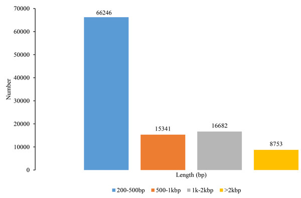 Length distribution of unigenes in Sagittaria trifolia.