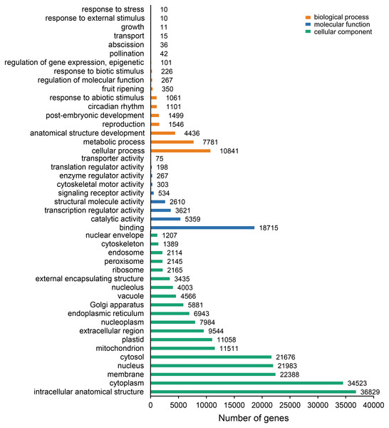 Gene Ontology (GO) function classification of the annotated unigenes in Sagittaria trifolia.