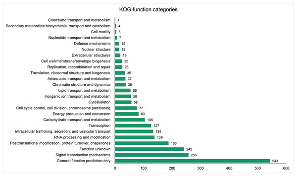 Distribution of the annotated unigenes of Sagittaria trifolia by KOG function.