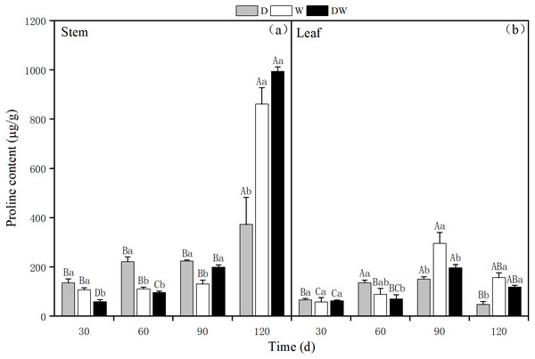 The effect of wet and dry changes on the proline content of P. australis stems and leaves.