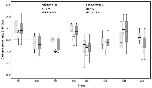 Variability of δ13C in cork-rings (n = 78) of the four trees from the two study areas, Grândola (n = 44) (BS) (in the left) and Benavente (n = 34) (CL) (in the right).