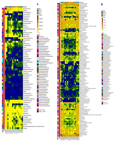 Heatmap of the rhizosphere bacterial composition of C. korshinshii at the genus level in both summer (A) and fall (B) after 6, 12, and 18 years of sand-fixing restoration.