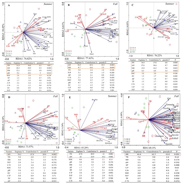 Ordination plots from a redundancy analysis (RDA) indicate the relationship between the dominant rhizosphere bacterial taxon (A–B) phylum level; (C–D) class level; (E–F) genus level) and soil factors in summer and fall across after 6, 12, and 18 years of C. korshinshii sand-fixing restoration.