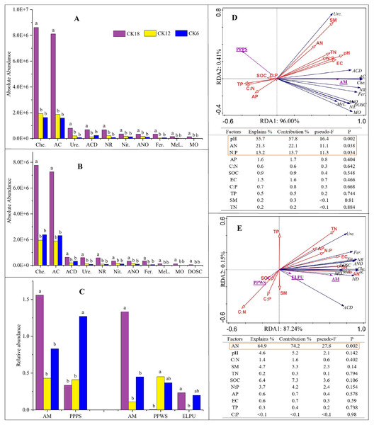 Functional predictive analysis (FAPROTAX and FUNGuild) of the rhizosphere microbiome and RDA between functional items and soil physicochemical factors among the 18-, 12-, and 6-year-restored dunes in Mu Us Sandy Land.