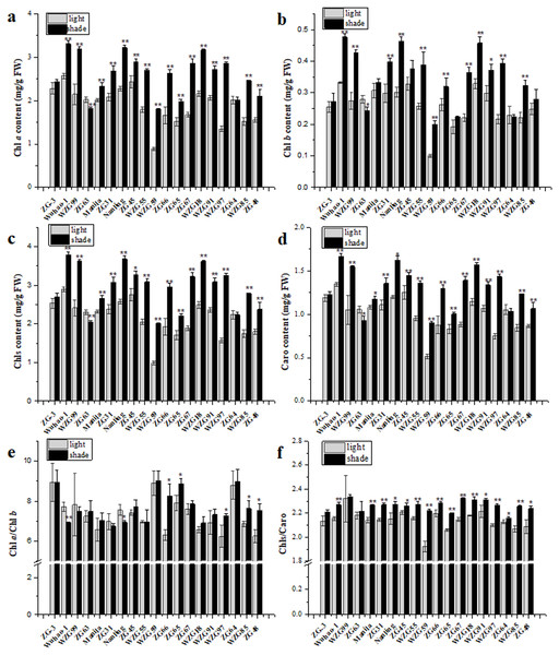 Changes of photosynthetic pigments in zoysiagrass including the contents of Chl a (A), Chl b (B), total Chls (C), Caro (D) and the ratios of Chl a/Chl b (E), Chls/Caro (F).