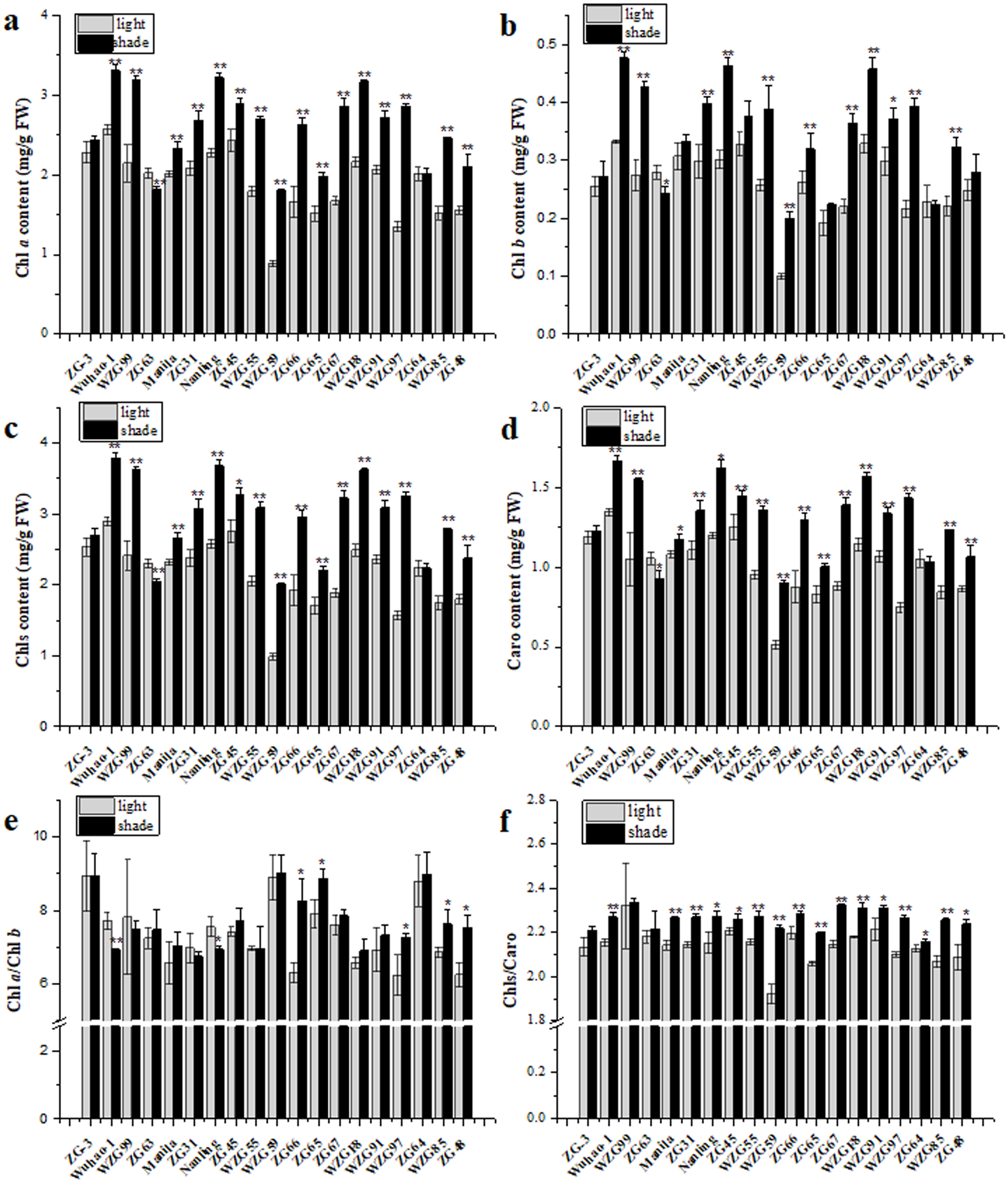 Different photosynthetic adaptation of Zoysia spp. under shading shade