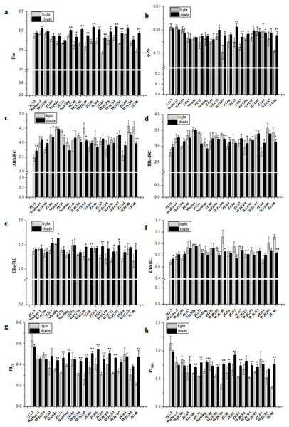 Changes of prime chlorophyll fluorescence parameters of zoysiagrass after shading, including Fm (A), φ Po (B), ABS/RC (C), TRo/RC (D), ETo/RC (E), DIo/RC (F), PIABS (G), PICS (H).