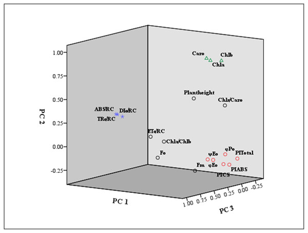 Loading plot using the first three principal components.