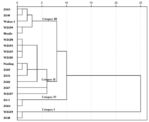 Cluster diagram of comprehensive shade response of nineteen zoysiagrass.