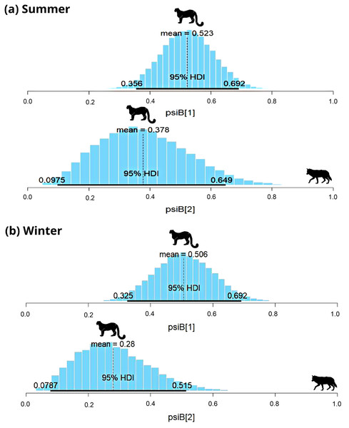 Results of two species occupancy (woolly wolf and snow leopard) for (A) summer and (B) winter.