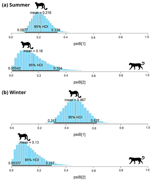 Results of two species occupancy (common leopard and snow leopard) for (A) summer and (B) winter.