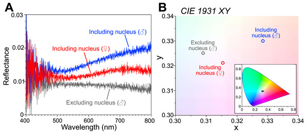 Reflectance spectra and chromaticity of the visceral nucleus.