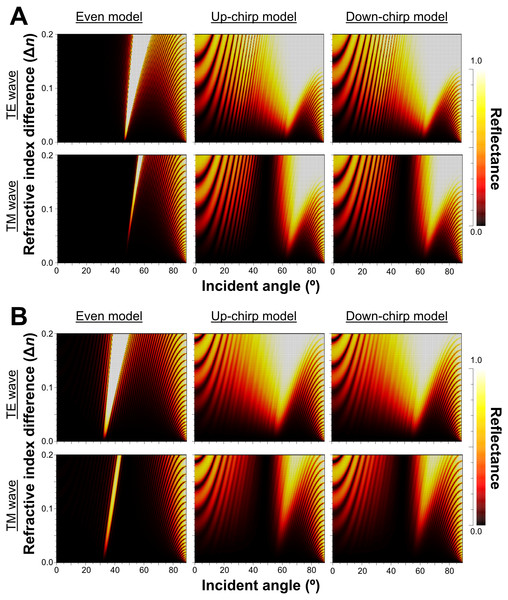 Simulation results of the reflectance determined of 480 nm light (A) and 589 nm light (B) by the incident angle and the difference in refractive index between the lamella and space (Δn) in the even model (left), up-chirp model (middle), and down-chirp model (right).