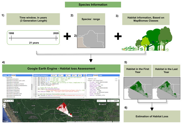 Workflow of inputs and outputs referent to the habitat loss estimation using our script through Google Earth Engine.