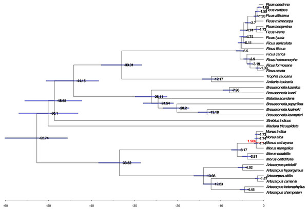 Phylogenomic analysis of the divergence time and natural selection.