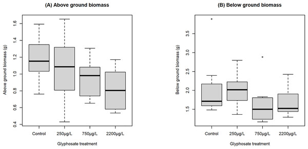 Boxplot showing effect of nominal glyphosate concentration on (A) above and (B) below ground biomass.