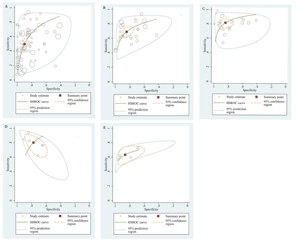 The hierarchical summary receiver operating characteristic curves.