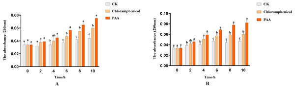 Nucleic acid and protein leakage of A. tumefaciens T-37 after treatment with PAA and chloramphenicol.
