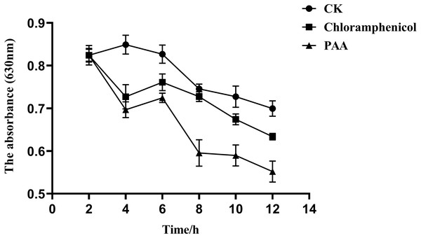 Phosphorus metabolism change of A. tumefaciens T-37 after treatment with PAA and chloramphenicol.