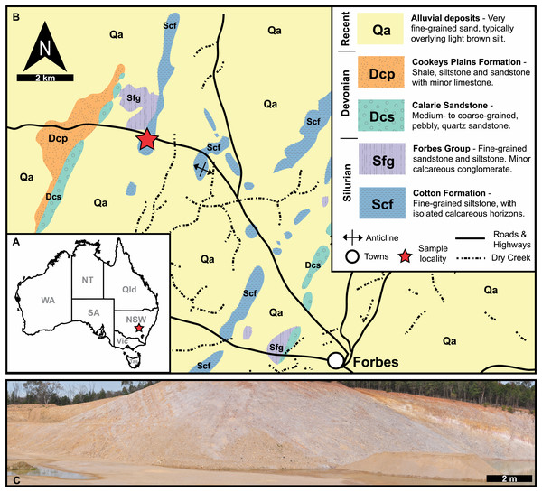 Geological, stratigraphic, and geographical information for specimen locations and the Cotton Hill Formation.