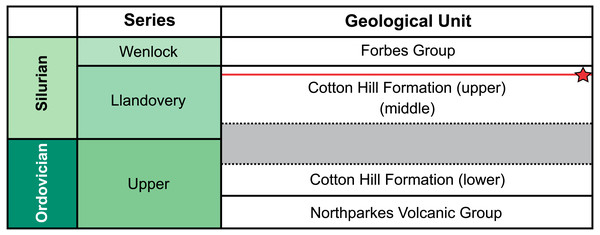Correlation of selected Late Ordovician and Silurian rock units surrounding the Cotton Formation within the Forbes area.