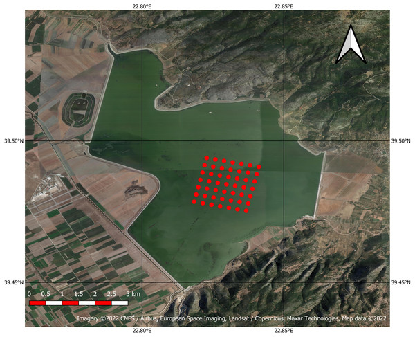 Google Satellite image of the Karla Reservoir with the centres of the 49 pixels used in the study indicated with red dots (Imagery©2022 CNES/Airbus, European Space Imaging, Landsat/Copernicus, Maxar Technologies, Map data ©2022).