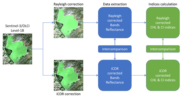 Flowchart of the image processing with the two atmospheric correction methods (Rayleigh, iCOR).