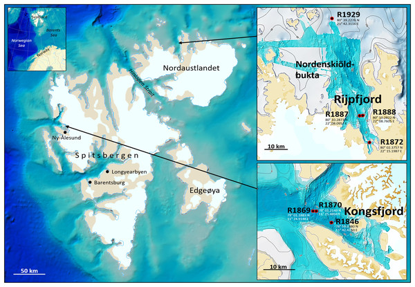 eDNA sampling stations in Rijpfjord and Kongsfjord, Svalbard.